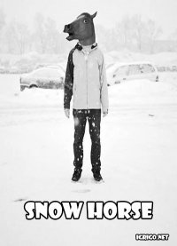 Snow Horse 2016