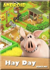 Hay Day Hay Day