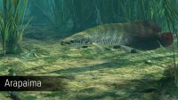Screen 4 Ultimate Fishing Simulator - Amazon River DLC