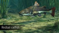 Screen 3 Ultimate Fishing Simulator - Amazon River DLC
